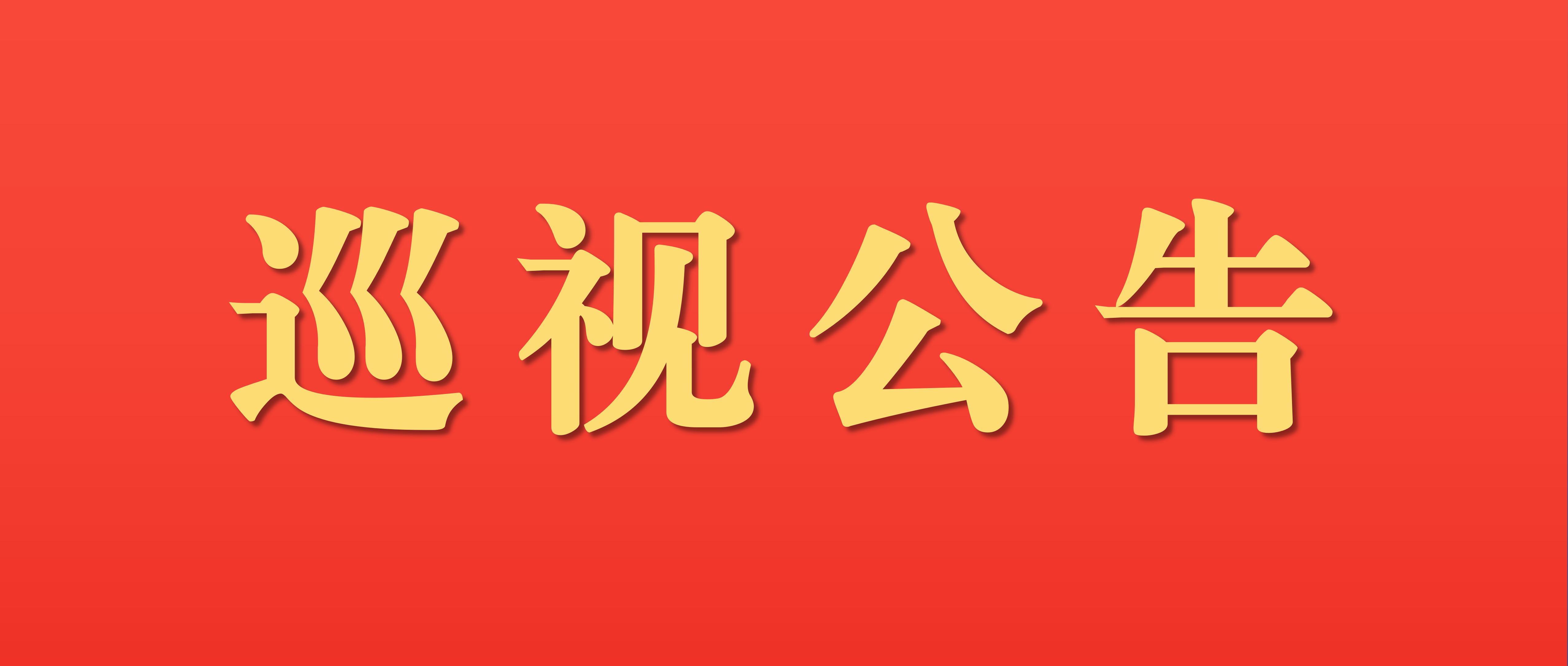 巡视公告