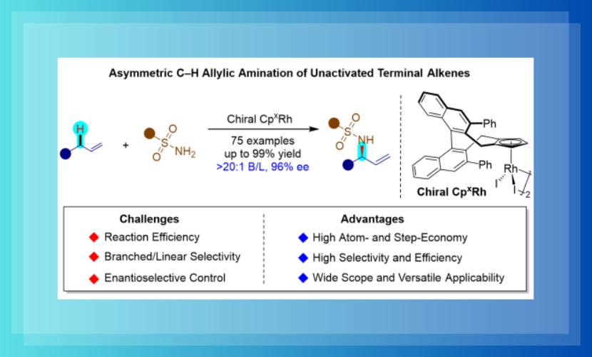 化学与环境工程学院王守国团队在中国化学会旗舰期刊《CCS Chemistry》发表研究论文