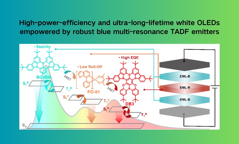 材料学院杨楚罗教授团队Light: Science & Applications： 高能效长寿命白光发光二极管