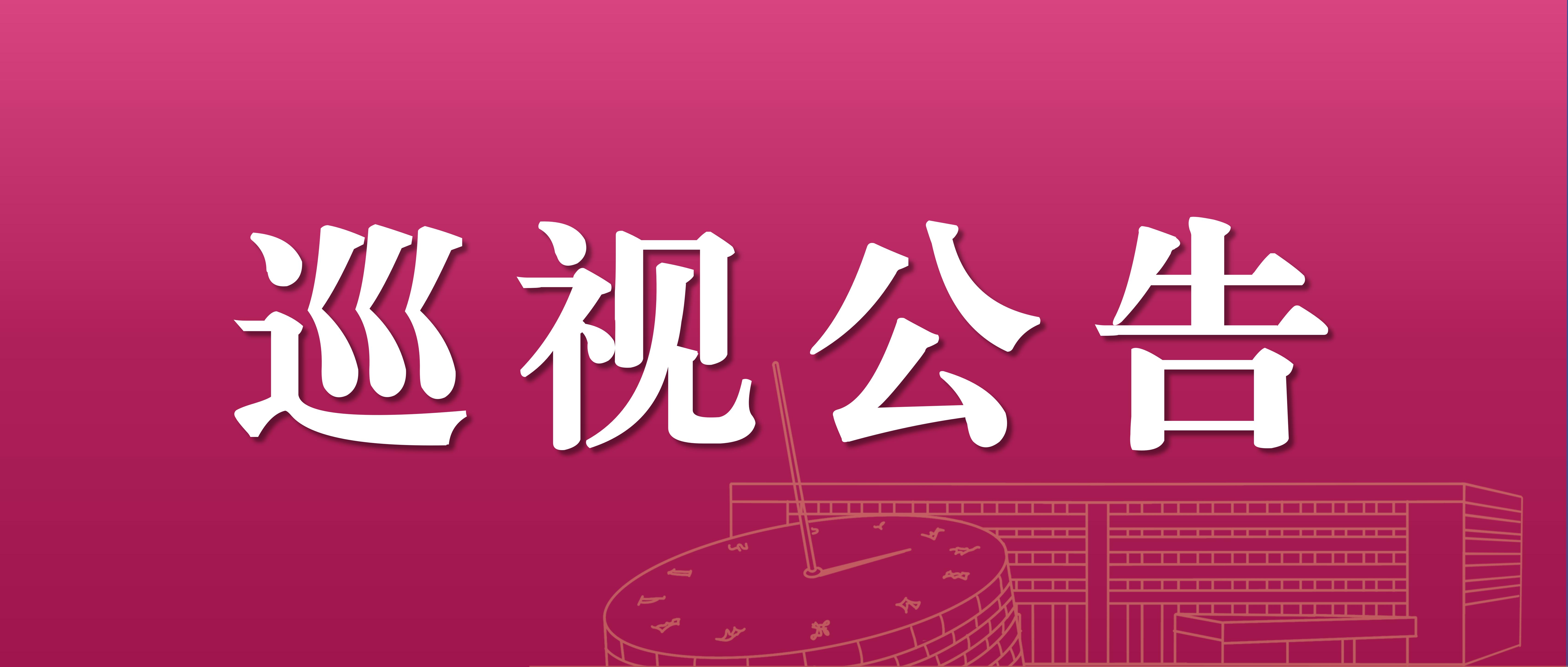巡视公告