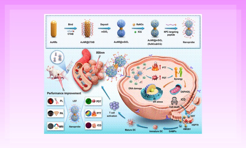 医学部助理教授殷金昌在Advanced Science发表生物医学光子学诊疗新体系研究成果