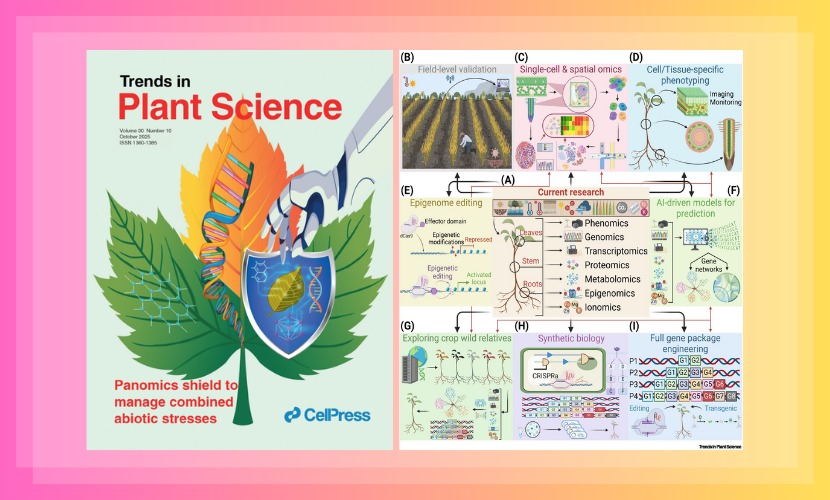 生命与海洋科学学院胡章立团发表植物应对多重非生物胁迫的封面论文