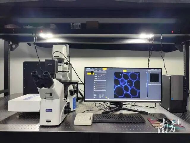 深大团队给细胞世界装上“超清摄像机”，探寻肿瘤病因