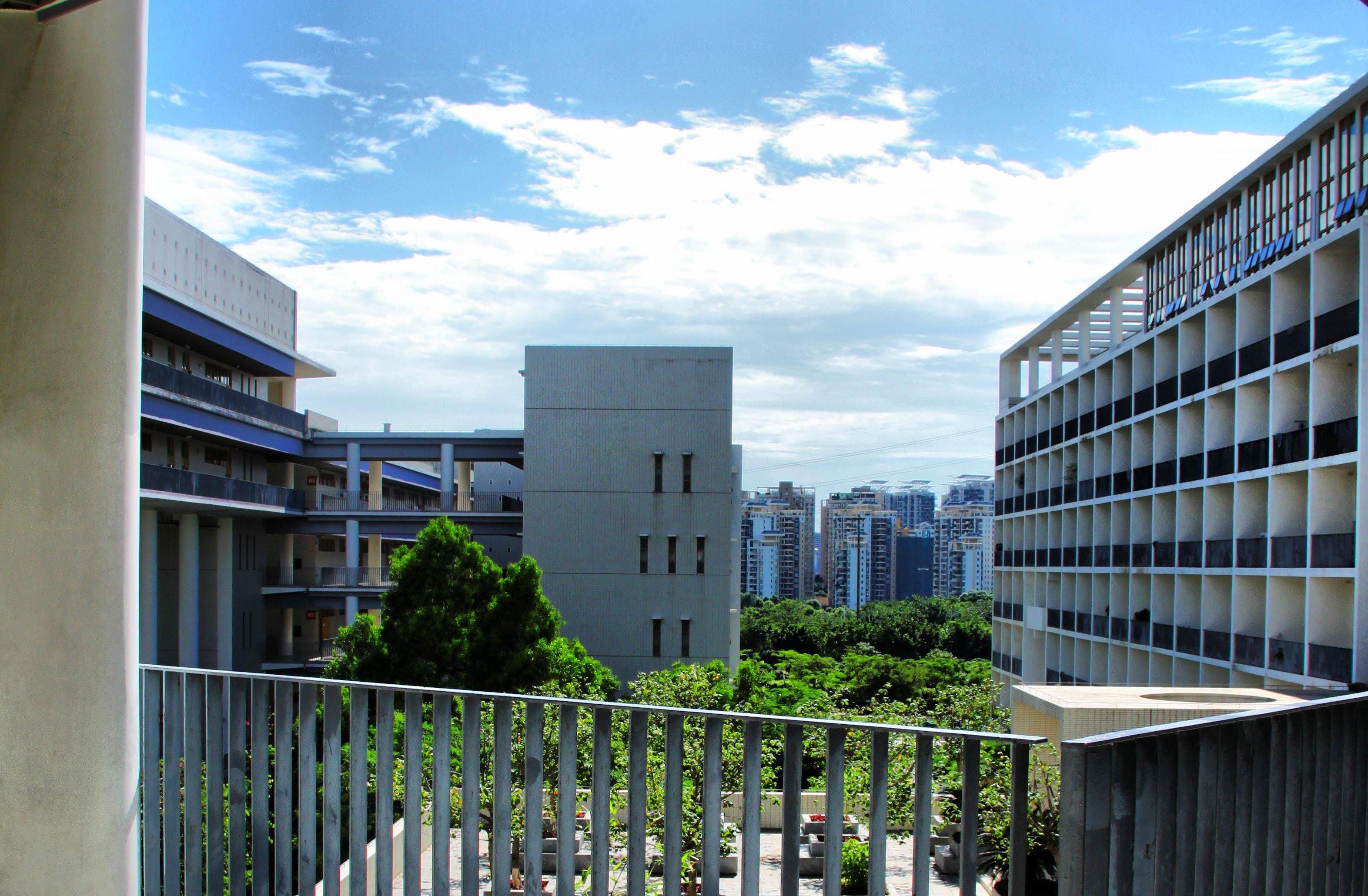 我校文科科研“十四五”开局喜迎开门红