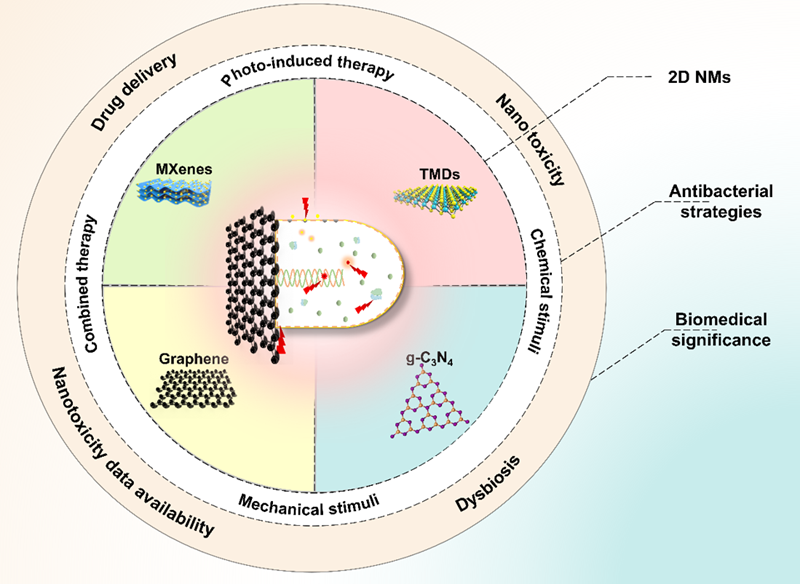 高等研究院熊海副教授团队在《Bioactive Materials》发表综述论文：先进二维纳米材料抗菌耐药性的新趋势和未来挑战