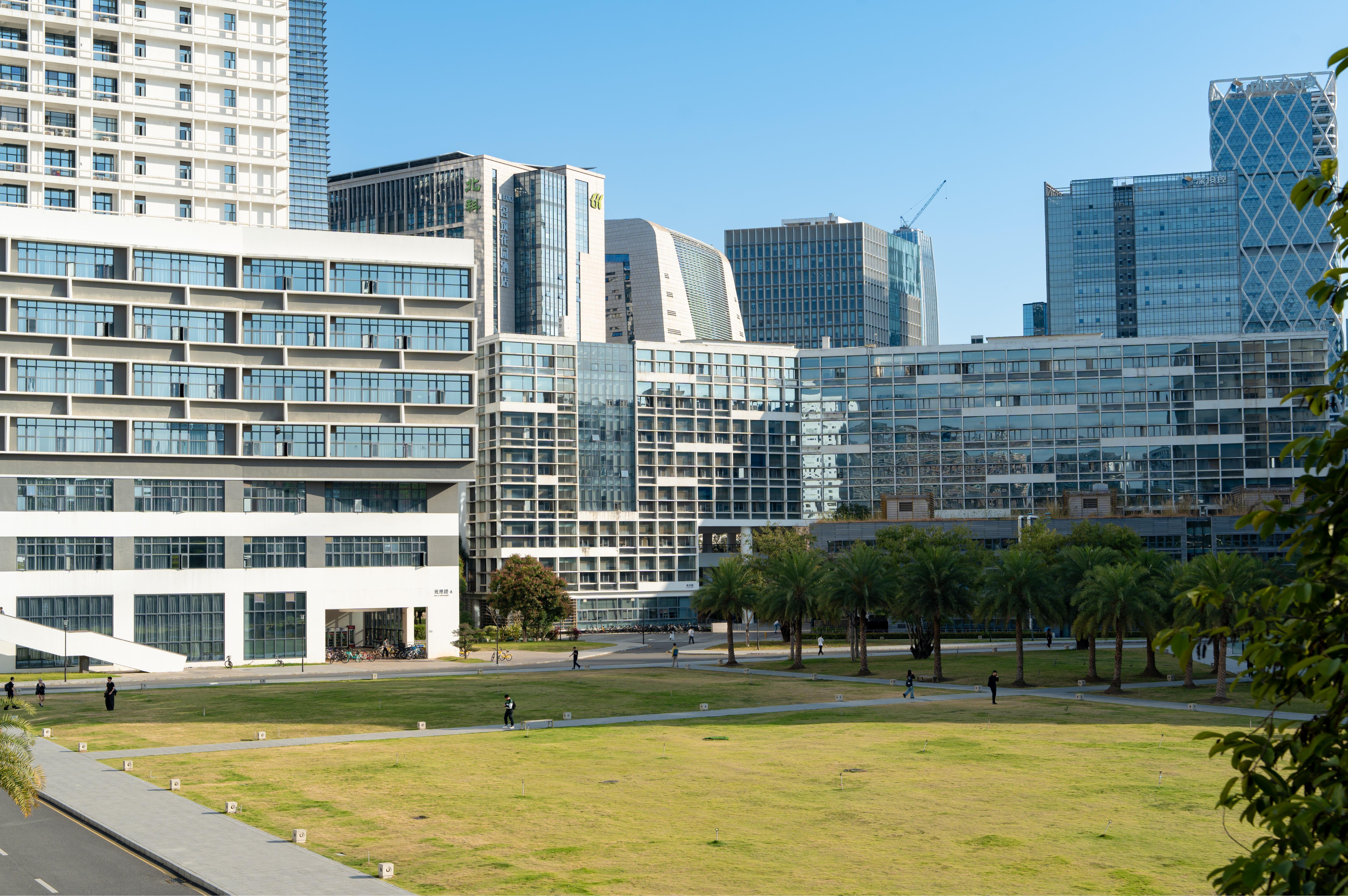 深圳大学成立战略咨询委员会