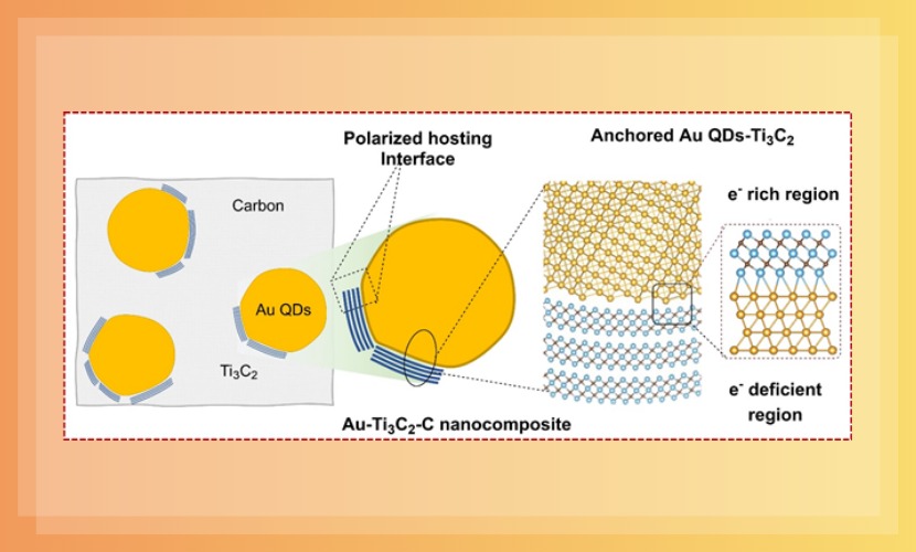 机电与控制工程学院徐钧国教授团队在Advanced Composites and Hybrid Materials发表论文：金量子点改性MXene 复合负极材料，助力下一代高容量锂离子电池研发