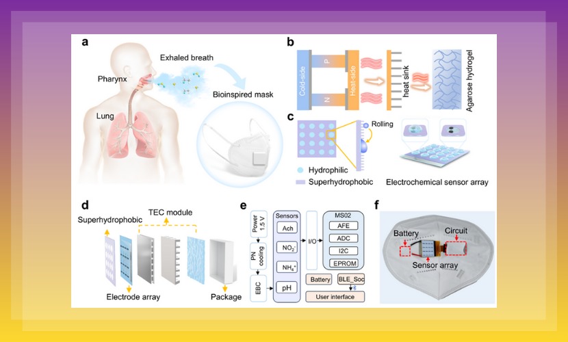 医学部教授张学记和高等研究院副教授许太林在ACS Nano期刊上发表题为“用于呼气冷凝物收集和多重生物标志物分析的仿生面罩”的研究成果