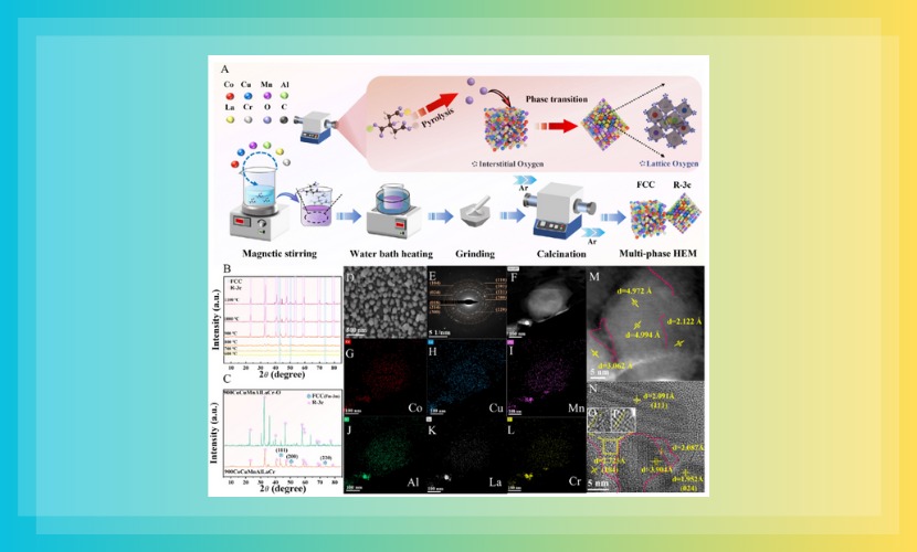 化学与环境工程学院陈嘉平教授团队在Advanced Functional Materials发表学术论文